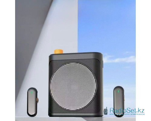 Беспроводная система громкоговоритель 25H